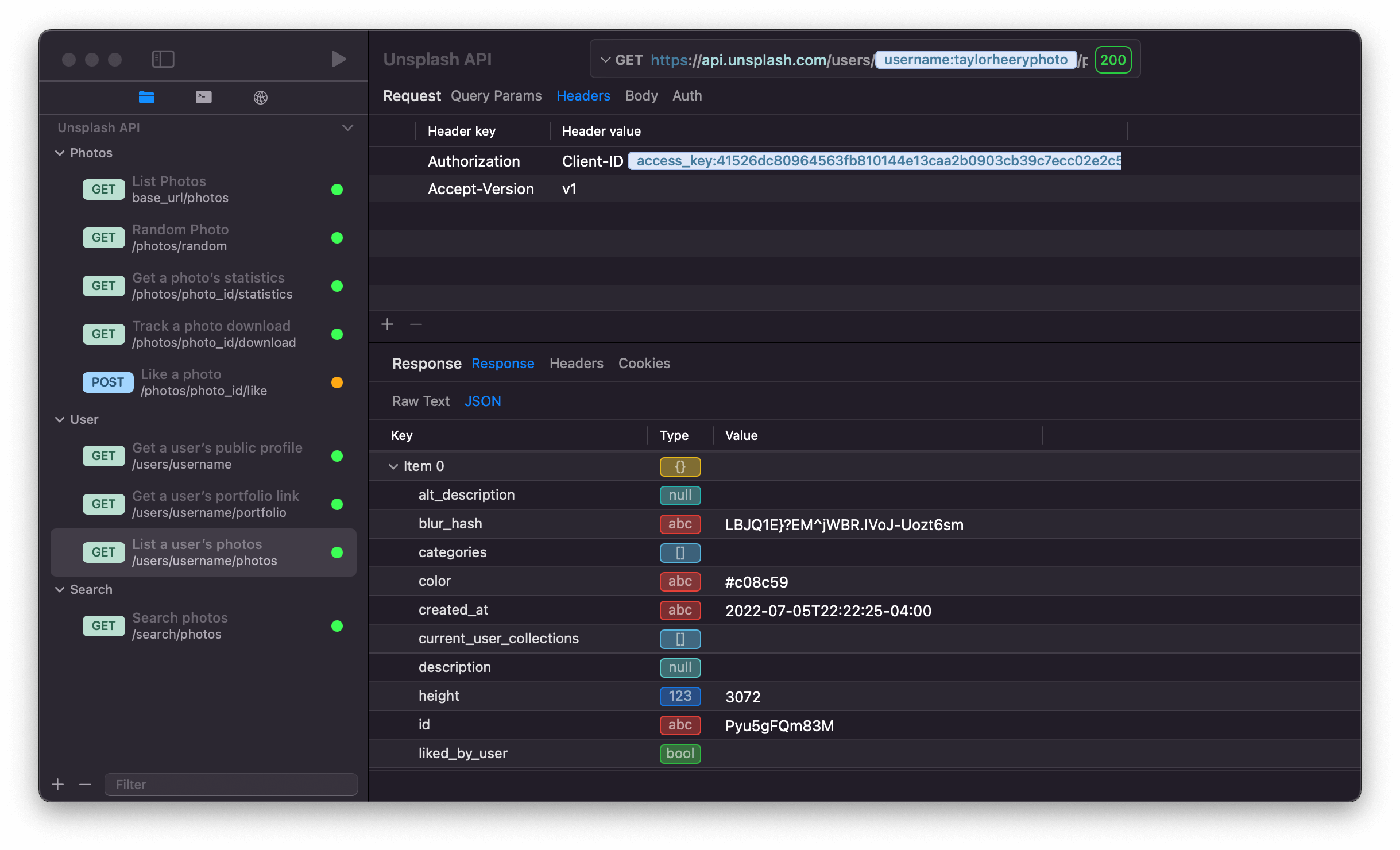ApiScout - Best Rest API client for macOS that is really fast
